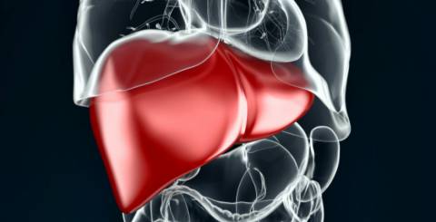 liver pediatric liver